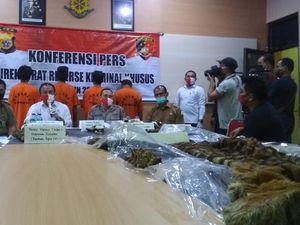 Jual Kulit Harimau Rp 100 Juta, 4 Pria Aceh Ditangkap Polisi Jual Kulit Harimau Rp 100 Juta, 4 Pria Aceh Ditangkap Polisi