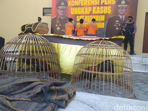 Empat Pejudi Sabung Ayam di Sidoarjo Ditangkap, Satu Reaktif Rapid Test