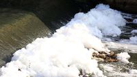 Waduh! Banjir Kanal Timur Kembali Berbusa