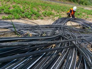 Pandemi Corona, XL Tetap Tancap Gas Fiberisasi Jaringan Demi 5G