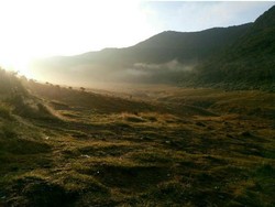 Terlalu, Pendaki Bugil Pose di Kawasan Paling Sakral Gunung Gede Pangrango