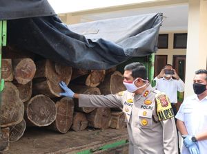 Polres Majalengka Ringkus Komplotan Pembalakan Liar Lintas Provinsi