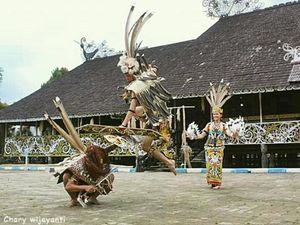 Wisata Budaya Dayak di Desa Adat Pampang, Samarinda