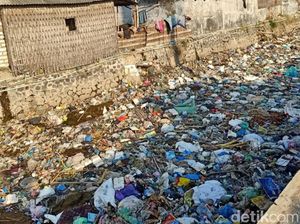 Sungai yang Menjijikkan Penuh Sampah Cemari Laut Pesisir Pasuruan