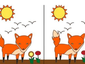 Tes Psikologi: Perbedaan Apa yang Pertama Kamu Temukan di Gambar?