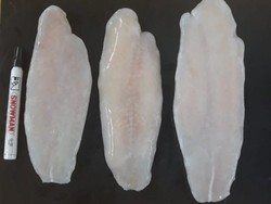 Ikan Dori Adalah Ikan Patin, Ini Kata Menteri Kelautan