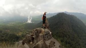 Foto: Dulu Kebun Sayur, Sekarang Jadi Wisata Hutan Edukasi
