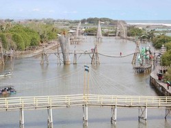 Indah Nggak Hutan Mangrove dari Kulon Progo Ini?