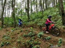 Pispun Bike Park, Trek Populer Andalan Pesepeda di Ciamis
