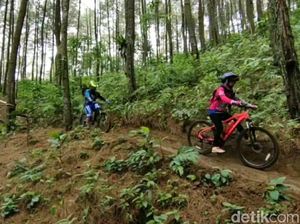 Pispun Bike Park, Trek Populer Andalan Pesepeda di Ciamis Pispun Bike Park, Trek Populer Andalan Pesepeda di Ciamis