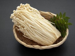 Sebabkan Penyakit, Jamur Enoki Ditarik dan Dimusnahkan dari Peredaran