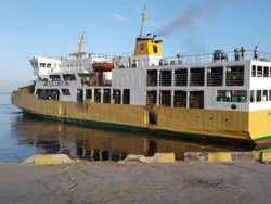 Subsea Lintas Globalindo-Kemenhub Distribusikan Ternak ke Penjuru RI