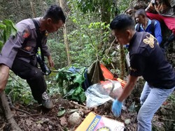 Warga di Taman Nasional Bantimurung Sulsel Geger Penemuan Kerangka Manusia