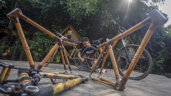 Keren! Sepeda Bambu Made in Indonesia Tembus Pasar ASEAN