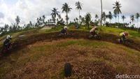 Anak-anak Penggila BMX Minicros Adu Cepat di Pangandaran