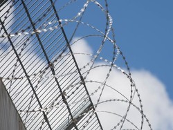 Napi Pembunuhan di AS Pecahkan Problem Matematika Kuno