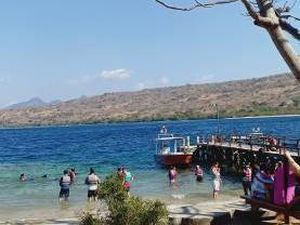 Pengalaman Tiada Duanya, Diving di Bali