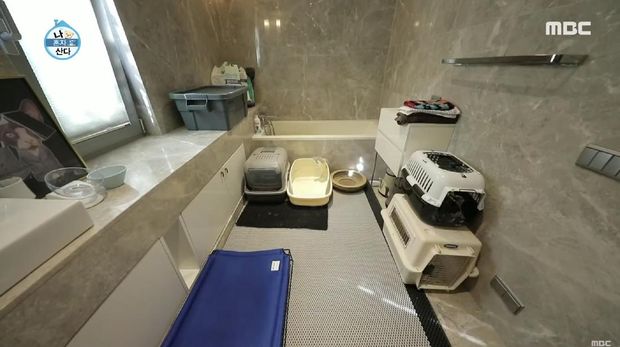 Rumah Minimalis Yoo Ah In