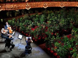 Tak Mendatangkan Penonton, Pertunjukan Musik Ini Dihadiri 2.292 Pot Tanaman