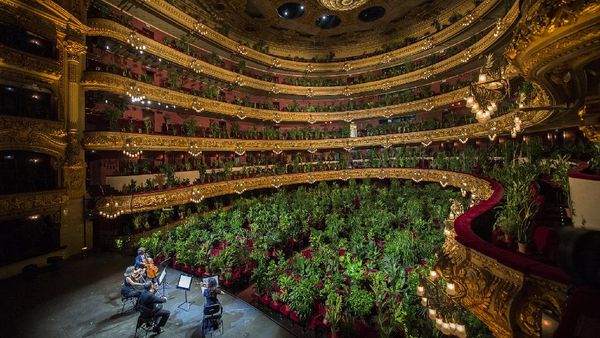 Potret Opera Musik yang Dihadiri 2.292 Pot Tanaman