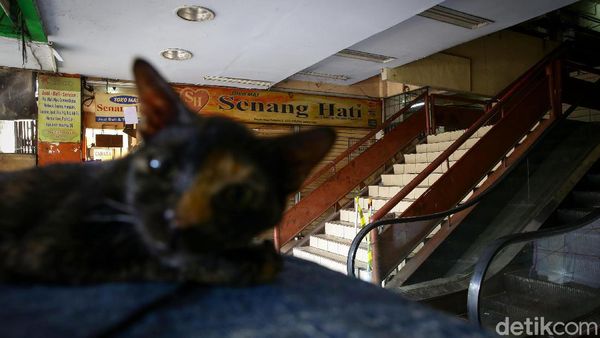 Kini Giliran Pasar Palmerah Tutup Sementara