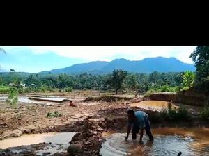 Diterjang Banjir, Jalan-Sawah dia Bengkulu Tengah Rusak