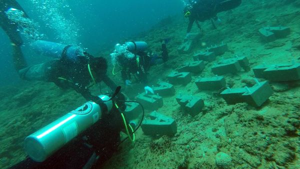 Begini Potret Penyelamatan Terumbu Karang di Aceh