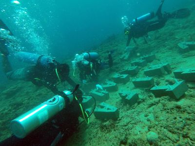 Begini Potret Penyelamatan Terumbu Karang di Aceh