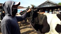 Bermasker, Begini Kesibukan Pedagang Pasar Hewan di Boyolali