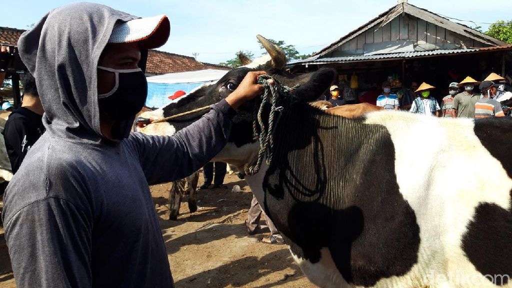 Bermasker, Begini Kesibukan Pedagang Pasar Hewan di Boyolali Bermasker, Begini Kesibukan Pedagang Pasar Hewan di Boyolali