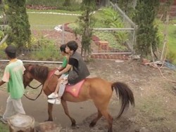 Agrowisata Bhumi Merapi, Destinasi Ramah Anak di Sleman