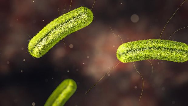 Science Photo of bacteria listeria infection is a food-borne bacterial illness that can be very serious for pregnant women, people older than 65 and people with weakened immune systems 3d rendering