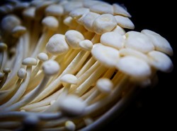 Agar Tak Terpapar Bakteri Listeria, Begini Cara Menyimpan Jamur Enoki