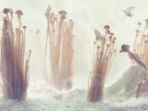 3 Tips Mengolah Jamur Enoki yang Telanjur Dibeli Agar Bebas Listeria 3 Tips Mengolah Jamur Enoki yang Telanjur Dibeli Agar Bebas Listeria