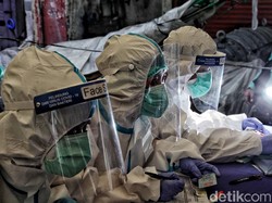 Persentase Kematian Pasien Corona di Indonesia Disebut Turun, Ini Sebabnya