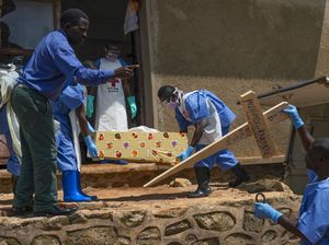 Setengah Juta Kematian Akibat Covid-19, WHO: Yang Terburuk Belum Datang