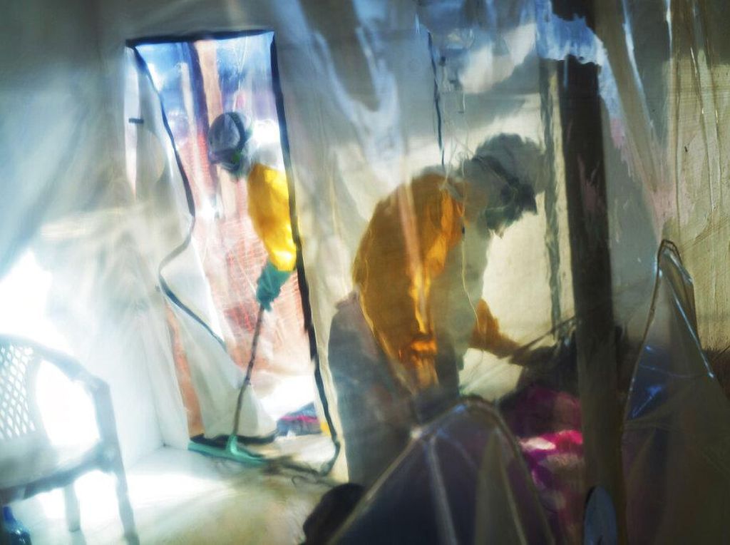 Kongo Deklarasikan Bebas dari Ebola Kongo Deklarasikan Bebas dari Ebola