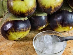 3 Minuman Tradisional Hasil Fermentasi Ini Kaya Khasiat Sehat