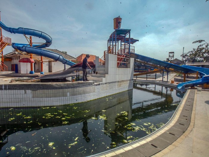 Penjaga mengecek kolam renang yang dimanfaatkan menjadi kolam ikan jenis lele di Fun Park Water Adventure, Villa Nusa Indah, Gunung Putri, Kabupaten Bogor, Jawa Barat, Kamis (25/6/2020). Pemanfaatan sementara wahana kolam renang menjadi kolam ikan tersebut sebagai upaya menjaga kestabilan ekonomi karyawan di masa pandemi COVID-19 sekaligus menghilangkan jentik nyamuk yang berada di kolam tersebut. ANTARA FOTO/Yulius Satria Wijaya/nz