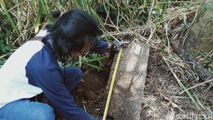 Penampakan Tumpukkan Batu Diduga Candi Ditemukan di Klaten