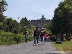 Satwa-satwa di Relief Candi Borobudur Teridentifikasi