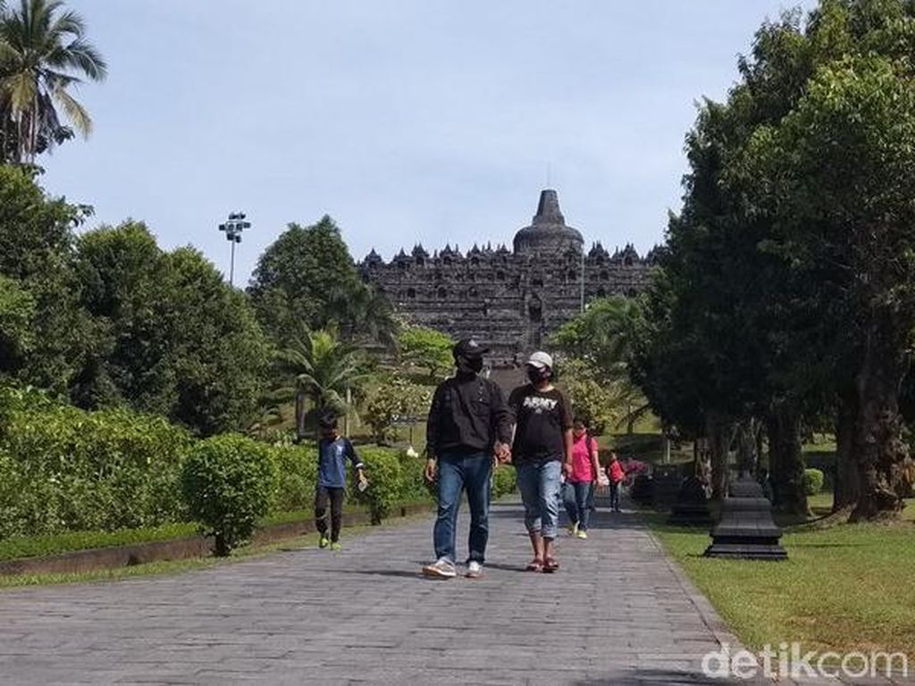 Satwa-satwa di Relief Candi Borobudur Teridentifikasi Satwa-satwa di Relief Candi Borobudur Teridentifikasi