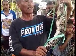 Strike! Pemancing Tak Sengaja Dapat Anak Buaya di Waduk Jatigede