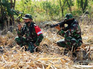 TNI AU Latihan Pertahanan Pangkalan di Detasemen Raci