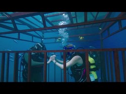 Sinopsis Film 47 Meters Down, Ketika Liburan Berujung Petaka
