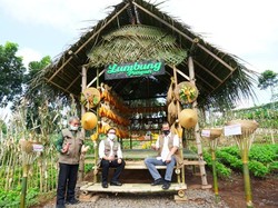 Doni Monardo Apresiasi Banyuwangi Sertifikasi Protokol Kesehatan di Sektor Pariwisata