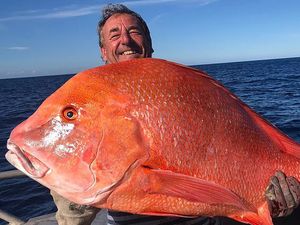 Super Gede! Nelayan Pancing Kakap Seberat 22 Kilogram