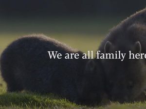 Bikin Kampanye Wisata Baru, Negara Ini Malah Diolok-olok