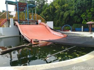 Viral Kolam Renang Jadi Empang Ternak Lele, Begini Faktanya! Viral Kolam Renang Jadi Empang Ternak Lele, Begini Faktanya!
