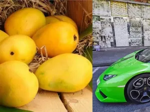 Sultan! Di Dubai Pesanan Mangga Diantar Pakai Lamborghini
